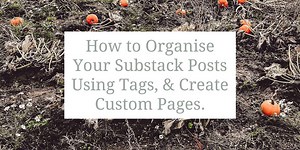 How to Organise Your Substack Posts Using Tags.