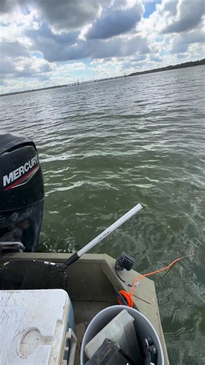 17 reactions | He Almost lost his fish in the stringer #fishing #catfishing #reels | Bigrichfish | Facebook