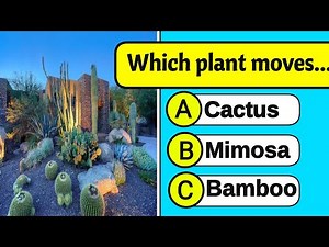 🌱 Ultimate Plant Quiz | General Knowledge About Plants | Fun Science Trivia 🌿