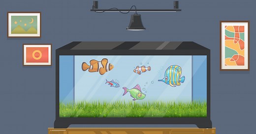 The 5 Dos & 3 Dont's of Growing Utricularia graminifolia