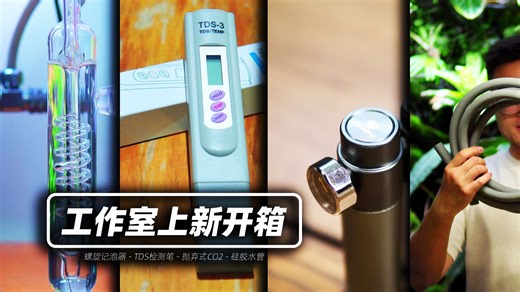 肥鱼 | 工作室上新开箱 螺旋记泡器-TDS检测笔-抛弃式CO2-硅胶水管-Aquaman肥鱼-Aquaman肥鱼-哔哩哔哩视频