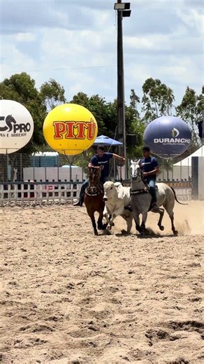Zero do menino prodígio Zé Barreto #classificaçãoprofissional #cavalo #playvaquejada #vaquejada