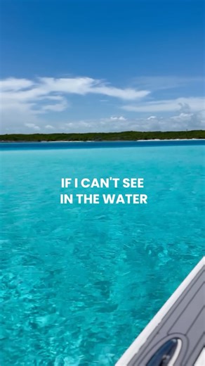 Swimming Pigs and More on Instagram: "Say less! The Bahamas understood the assignment.😌 Crystal-clear waters, white-sand beaches, and views that make you fall in love every time. Ready to dive in? Book your adventure today. #Piecesof8Tours #Piecesof8 #Bahamas #clearwaters #vacation #Exuma"