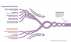 Reading - Down Syndrome Resource Foundation