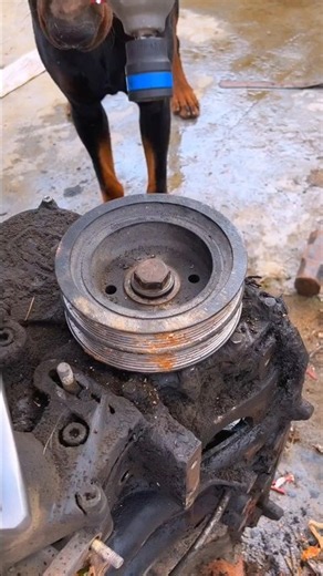 How to Remove a Stuck Crank Pulley (Easy!)