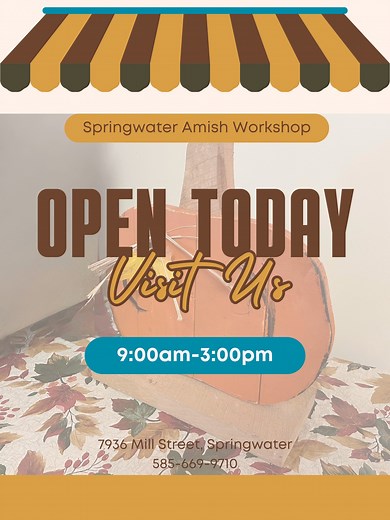 Springwater Amish Workshop on Reels