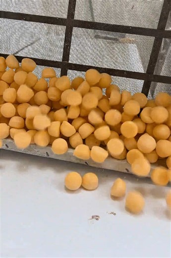 How many could you eat? 🤩 #asmr #fyp #asmrvideo #satisfying #asmrsounds