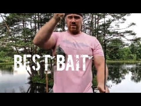 Bait you Need to Catch a Snapping Turtle (Works Every Time!)