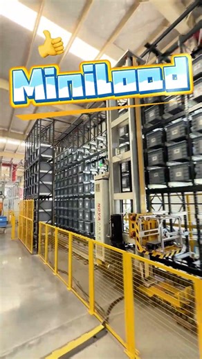 Why Miniload ASRS Beats Every Other Small Parts Storage System #asrs