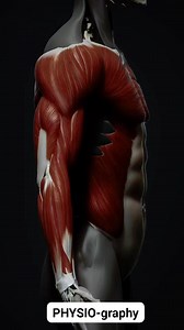 11K views · 199 reactions | Elbow Flexion Movement | PHYSIO-graphy | Facebook