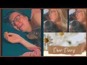 Getting through the Grief and Guilt of pet loss | Crying compilation