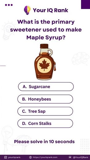 🍁 Sweet Maple Facts!