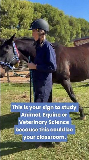 Discover your future in Animal, Equine, Veterinary Science and Technology at Charles Sturt