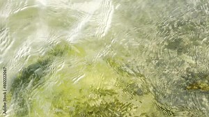 Water movement closeup video from top view with algae at the bottom of water - 4K video