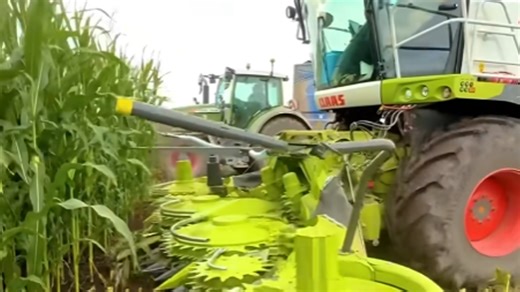 CLAAS Jaguar 870 harvests maize silage