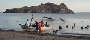 How does participating in conservation projects impact human | Earth And The Environment