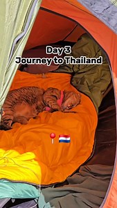 1bike1world | Day 3 - Journey to Thailand 🇹🇭 | Instagram