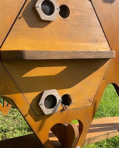 Isabel Lucas on Instagram: "I’ve explored the varied kinds of bee keeping and my preference are the traditional hives, especially the Kenyan top bar hive. Made of all timber, the design is simple, encouraging the bees’ natural behaviour. For me it seems to have the least effect on the bees. Harvesting their honey is a very calm process. I love listening to their humming and talking to them as I go. I used to not mind being stung here and there. Studies show it is incredible for a natural immunit