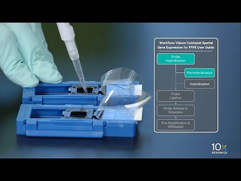 Visium CytAssist User Guide | Probe Hybridization