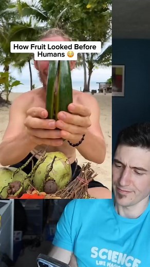 63K views · 1.3K reactions | Replying to @☦️KwoOwk☦️ GMOs todayS…. Thank you. #gmo #food #fruit | Theplantslant | Facebook