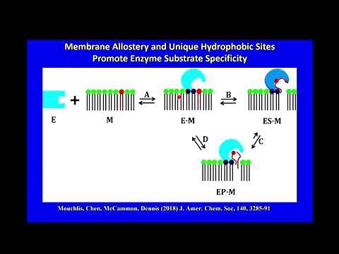 Phospholipase A2: A paradigm for allosteric regulation by membranes and cell signaling