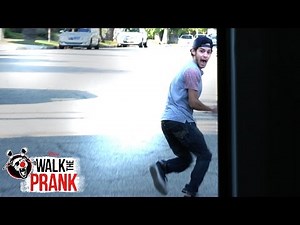 Dog Grooming | Walk the Prank | Disney XD