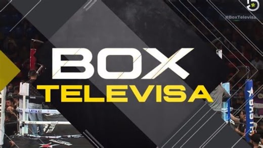 ¿Quién pelea hoy en Televisa Box (2026)? Cartelera en vivo completa, canales y horarios