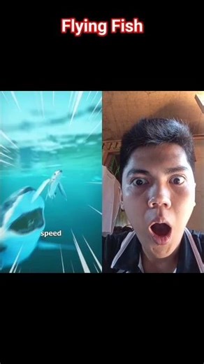 Flying Fish ‪@zackdfilms‬