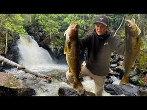 BWCA Wilderness Walleye Catch and Cook!