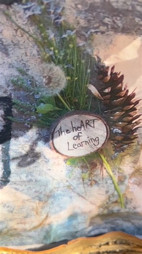 21 reactions | As we wrap up the fall session at Wild Type Learning...