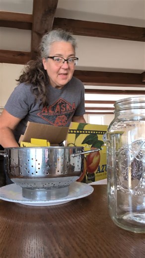 Recipe for fermented pears⤵️ Comment "recipe" and I'll send over more tips & a printable form of this recipe, right to your DMs. What you’ll need: A large wide-mouth jar 8-10 small organic pears 1 tsp chopped fresh ginger 1/4 cup sugar 1-2 TB kombucha starter tea (see notes) Directions: ✨ Wash your pears in water. No need to scrub them. We want the natural microbes on the skin to do their job and make some ferment magic. ✨ Place them in the jar. I needed to spend a minute or two finagling them u