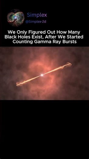 The Method of Counting Black Holes!
