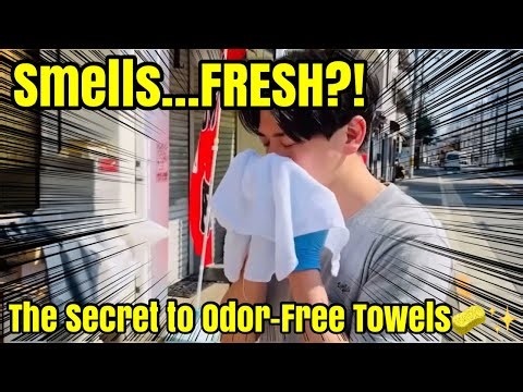 How to Wash Fish Towels So They Don’t Smell | Secret Pro Method from Japan 🧽🐟