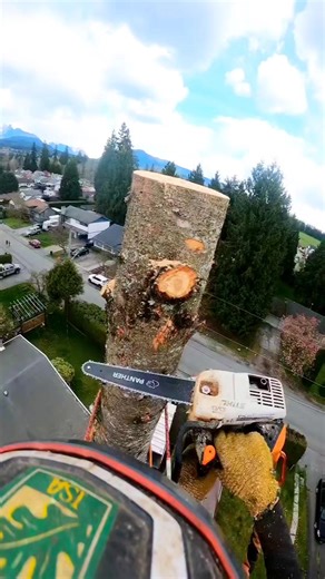 42K views · 473 reactions | Cutting trees into pieces #fbreels #trees #cutting #felling #skills #treeworker | Robert Climber | Facebook