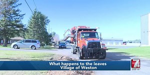 What happens to the leaves after they’re picked up?