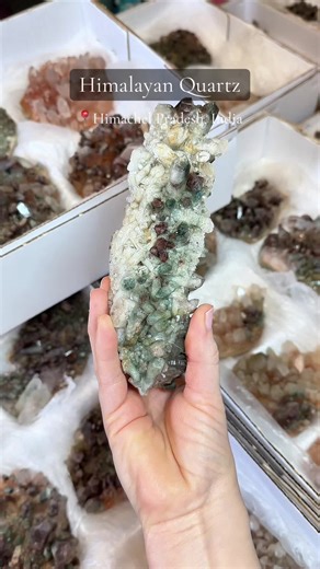 We just unboxed 60 more kilos of Himalayan Quartz. 😍 These have Hematite & Chlorite inclusions. Nicely terminated with high luster… ✨ These will be available on our Sunday show at 4pm est. A little about Crystal Live Emporium.. We specialize in High Quality Minerals direct from the mines in India. We have Zeolites, Apophyllite, Calcites, and all of the unique specimens you can find across the Deccan Traps and India. We have teams in India to help us source new productions and beautiful new find