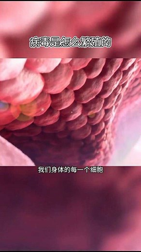 病毒是怎么繁殖的？