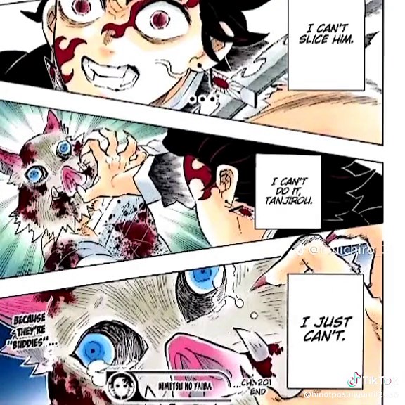 Inosuke and Tanjiro Heart-to-Heart Moments in Demon Slayer