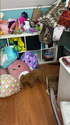 This craft room organization will inspire you #organization #craftroom #diy
