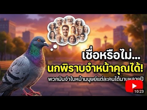 Believe It or Not: Pigeons Recognize and Remember Human Faces for Years