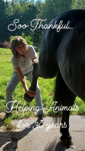 30 years helping thousands of animals around the world. Still going strong!👍🙏💖💪 Next up, teaching others what I've learned. #helpingothers #dog #cat #horses #time #to #be #teachers | Shari's Quest