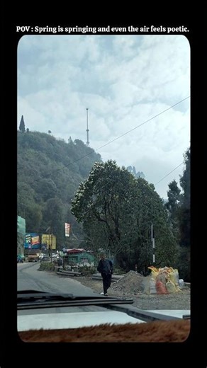 POV: Spring is springing and even the air feels poetic.#pov #darjeeling #spring