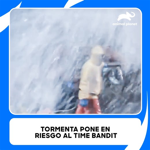 14K views · 311 reactions | El mar no siempre coopera. Tormentas, vientos y fallas técnicas ponen en jaque al capitán del Time Bandit en plena faena ⚡️ #PescaMortal Disfruta el contenido de Discovery en #HBOMax Suscríbete ahora: https://bit.ly/MAX-AnimalPlanetLa | Animal Planet Latinoamérica | Facebook
