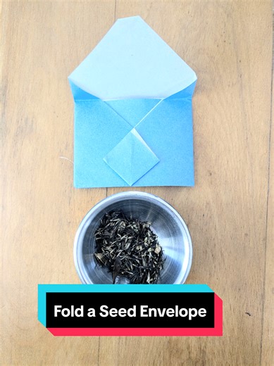 How to fold seed envelopes from scrap paper for all your gardening, native-plant seed scavenging, and seed library-contributing needs. It's Seedy Saturday season, so make some of these to prep for your local seed exchange! #gardentok #gardener #seedsaving #seeds #papercraft