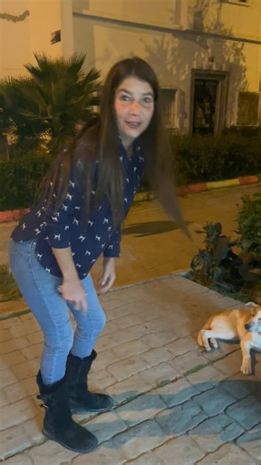 3.3K views · 245 reactions | Emergency  again!! Precious puppy unable to move. We don’t know if it is a hit and run or suffered some sort of trauma. Taking him immediately to the clinic. Please donate. We cannot walk away. Please please help. #sft #animalrescue #puppy #injuredpuppy #sickpuppy #vetbill #donate www.sftmorocco.org | SFT - Animal Sanctuary | Facebook