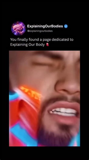 EXPLAINING OUR BODIES 🫀 | Vaping ⚠️ This visual highlights the hidden dangers of vaping, showing how inhaled vapor travels through the mouth, throat, and lungs,... | Instagram