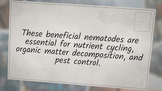 The role of nematodes in soil health