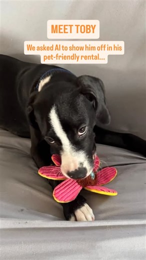 We asked AI to show off how truly pet-friendly our rentals are ... And it delivered! Who's to say this isn't how Toby's typical day goes? We're committed to providing quality, welcoming homes for all members of your family across CNY  What's your pet's funniest "human" habit? Tell us in the comments! (And follow along for our next furry tenant) #cnyacquisitions #petfriendly #aiimages #dogsofinstagram #realestatehumor | CNY Acquisitions | Facebook