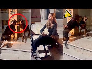 Una MUJER intenta CONTROLAR a DOS DÓBERMAN pero la situación se SALE DE CONTROL ⚠️