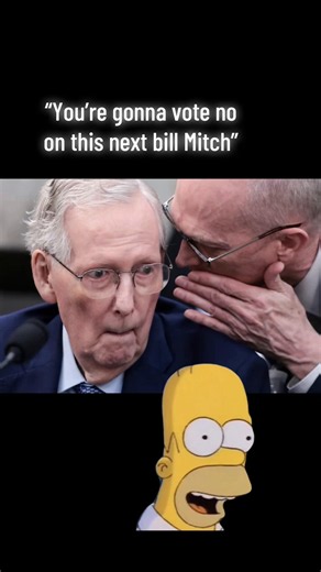 Mitch NcConnell vegetable lasagna #mitchmcconnell #senate #politicalnews #breakingnews #fyp